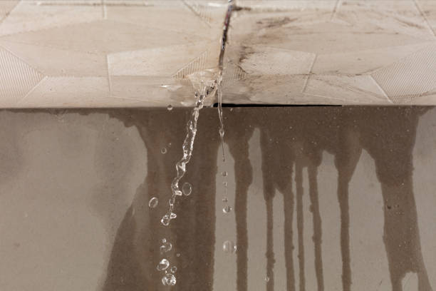 Professional Burst Pipe Cleanup technician working in Sedalia, CO